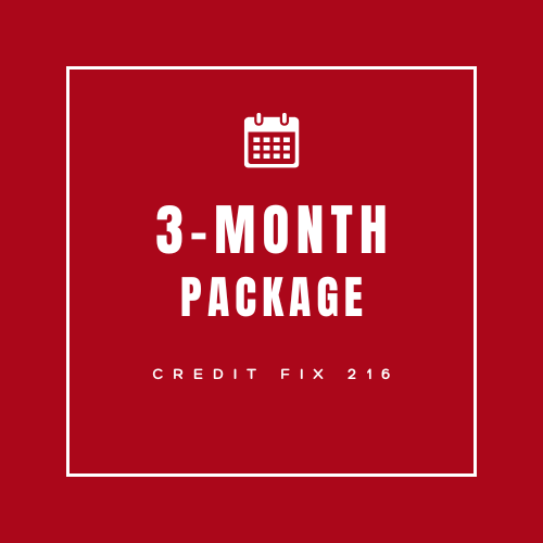 3-Month Repair Package